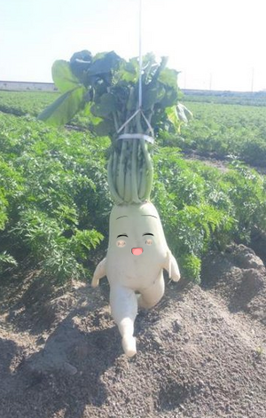 Daikon.png